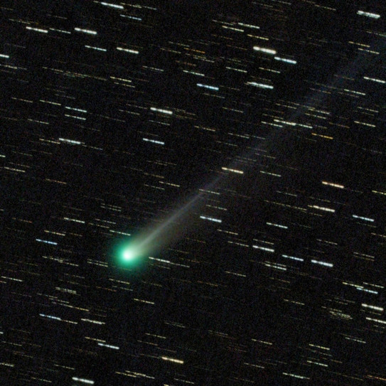 Farbaufnahme des Kometen Lemmon