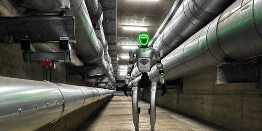 Humanoid Robot