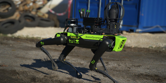 Vernetzter Roboterhund
