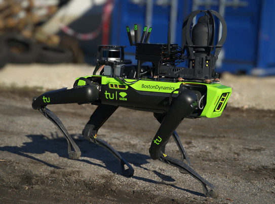 Roboterhund