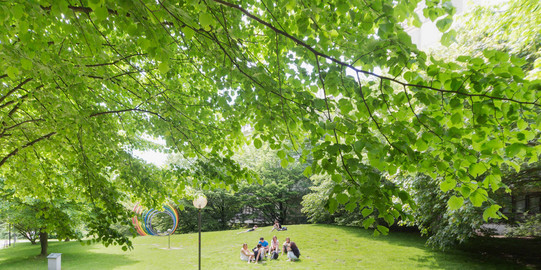 Students on the meadow with spectral rings in the background in summer
