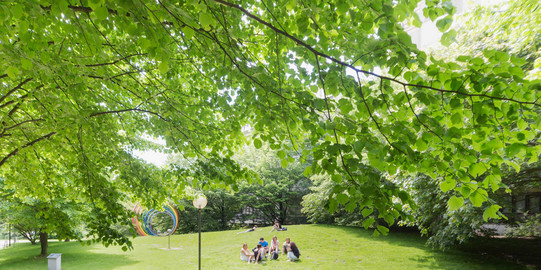 Studierende auf der Wiese mit den Spektralringen im Hintergrund im Sommer